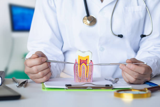 Best Emergency Gum Treatment in St Clair, PA